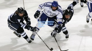 中国冰壶队世锦赛惊艳亮相 新生代选手展现强劲实力